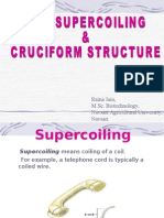 Dna Supercoiling