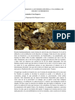 La austeridad en la economía española, una espiral de dolor y sufrimiento