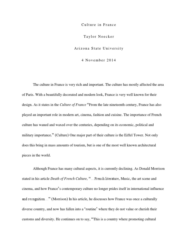 France culture essay example image