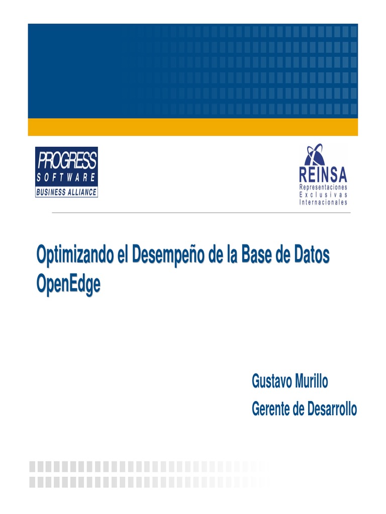 Presentacion Rendimiento OpenEdge RDBMS PDF PDF | PDF | Almacenador ...