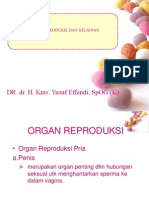 Organ Reproduksi & Kelainan