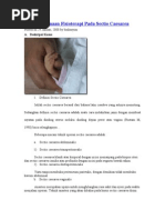 Download Penatalaksanaan Fisioterapi Pada Sectio by johanheri SN24560860 doc pdf