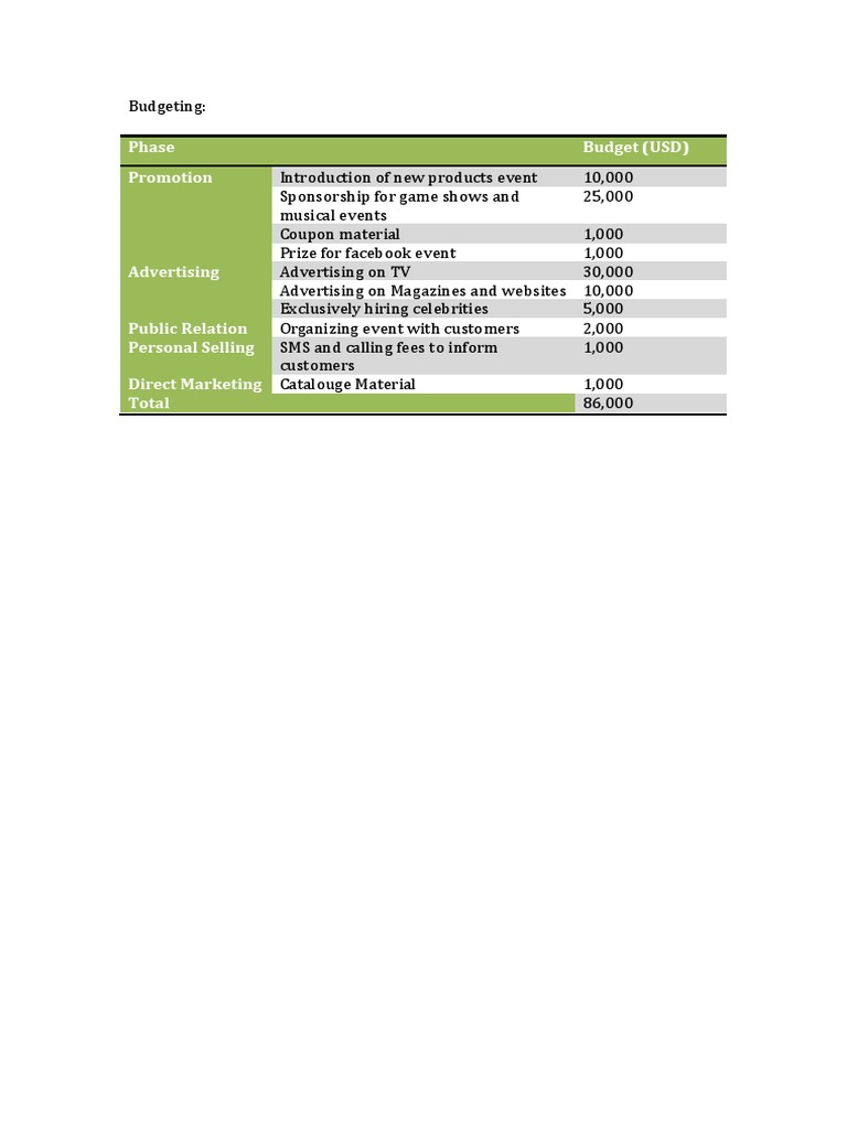 Budget Breakdown for Product Promotion | PDF | Business