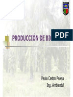 Curso Biodiesel