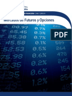 BF1 Mercados de Futuros y Opciones