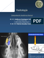 Radiología Interpretación Anatómica Normal PDF