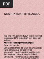 Acmaco - yang mempunyai info tentang akhirnya penjelasan tentang model perahu dayung sebagai fasilitator pemahaman mekanisme kontraksi otot dapat tercapai