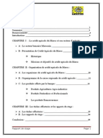 RAPPORT de STAGE Le Crédit Agricole Du Maroc