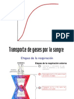 Respiratorio Difusion y T de Gases Reg de La Respiracion