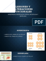 Alteraciones Funcionales