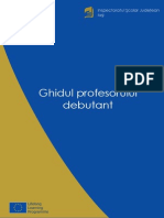 Ghidul Profesorului Debutant - FINAL PDF