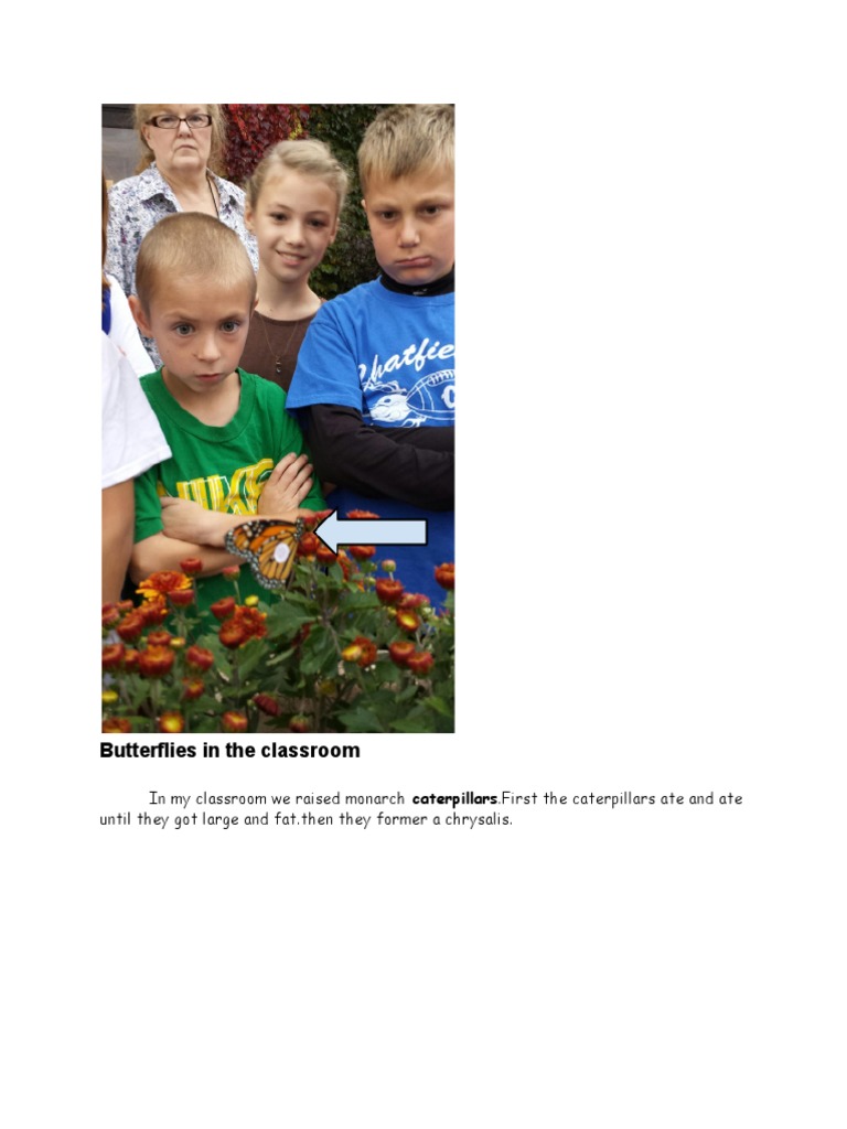 Butterfly | PDF