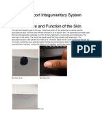 Lab Report Integumentary System Structure and Function of The Skin