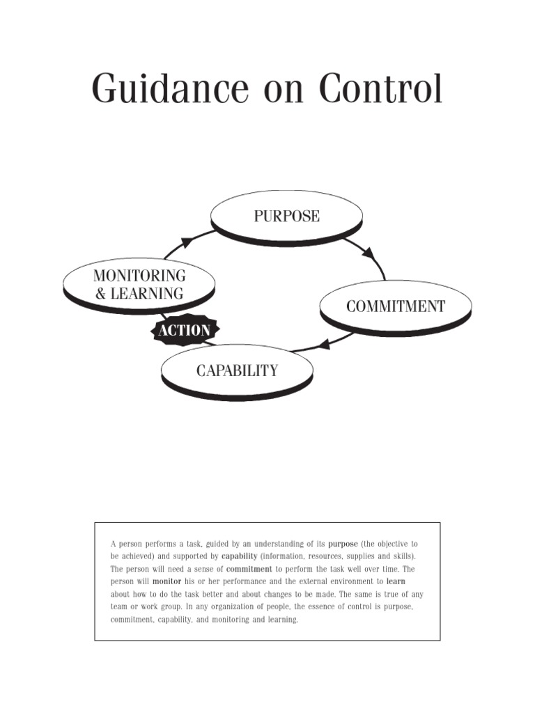 CoCo Guidance On Control | PDF | Risk Management | Risk