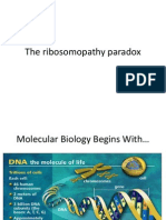 The Ribosomopathy Paradox