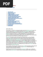 Derecho Positivo II.docx
