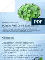 Plantas para curar la Diabetes