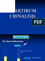 Praktikum Urin