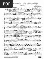 Download G Gariboldi - 20 Studies for Flute Op 132 by Daniela Flora SN245702392 doc pdf