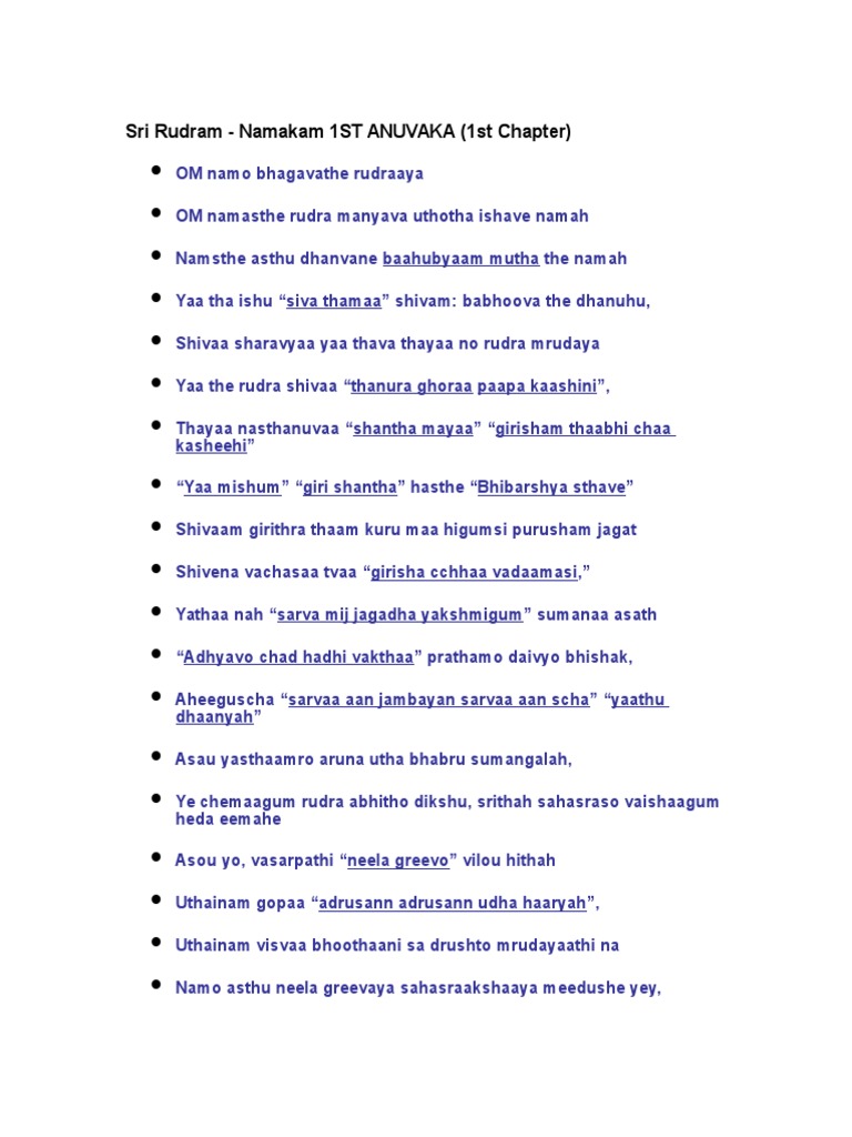 Sri Rudram PDF Religious Books Hindu Deities
