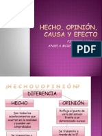 Hecho, Opinion, Causa y Efecto