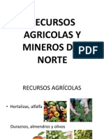 Recursos Agricolas y Mineros Del Norte