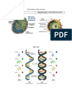 Esttuctura y Tipos de Virus