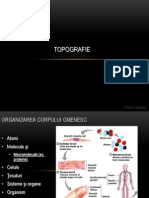 Topografie Medicala