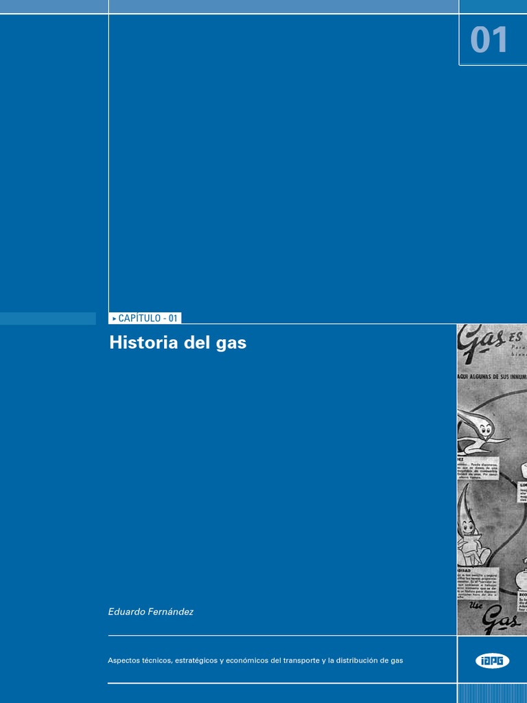 Historia del gas natural en Argentina | PDF | Petróleo | Combustibles