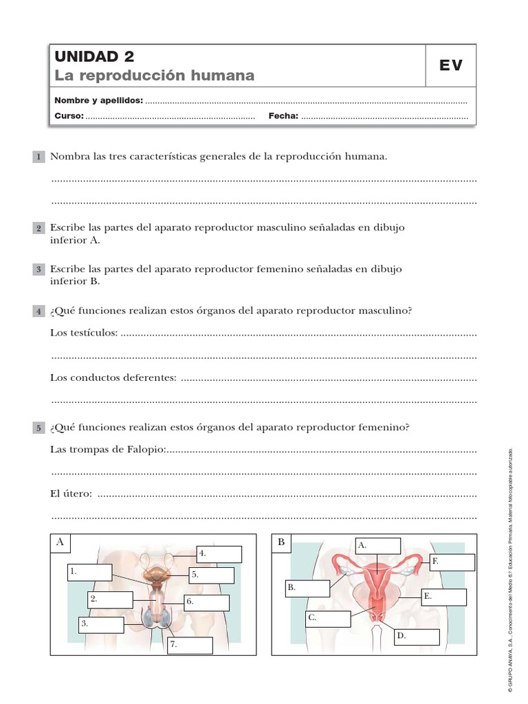 La reproducción humana Unidad 2 EV