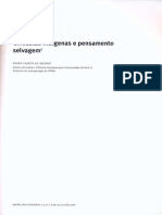 Aula 30 Cineastas Indigenas e Pensamento Selvagem-Libre