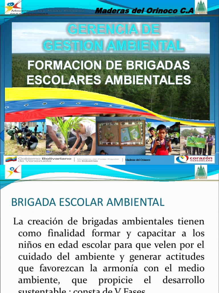 Brigadas Escolar | PDF | Fertilizante | Entorno natural