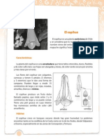 texto informativo 1