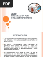 Intoxicación por Organofosforados y Carbamatos | PDF | Acetilcolina ...