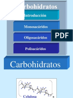 Carbohidratos Medicina