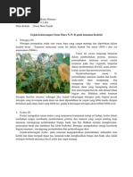 Budidaya mawar pdf
