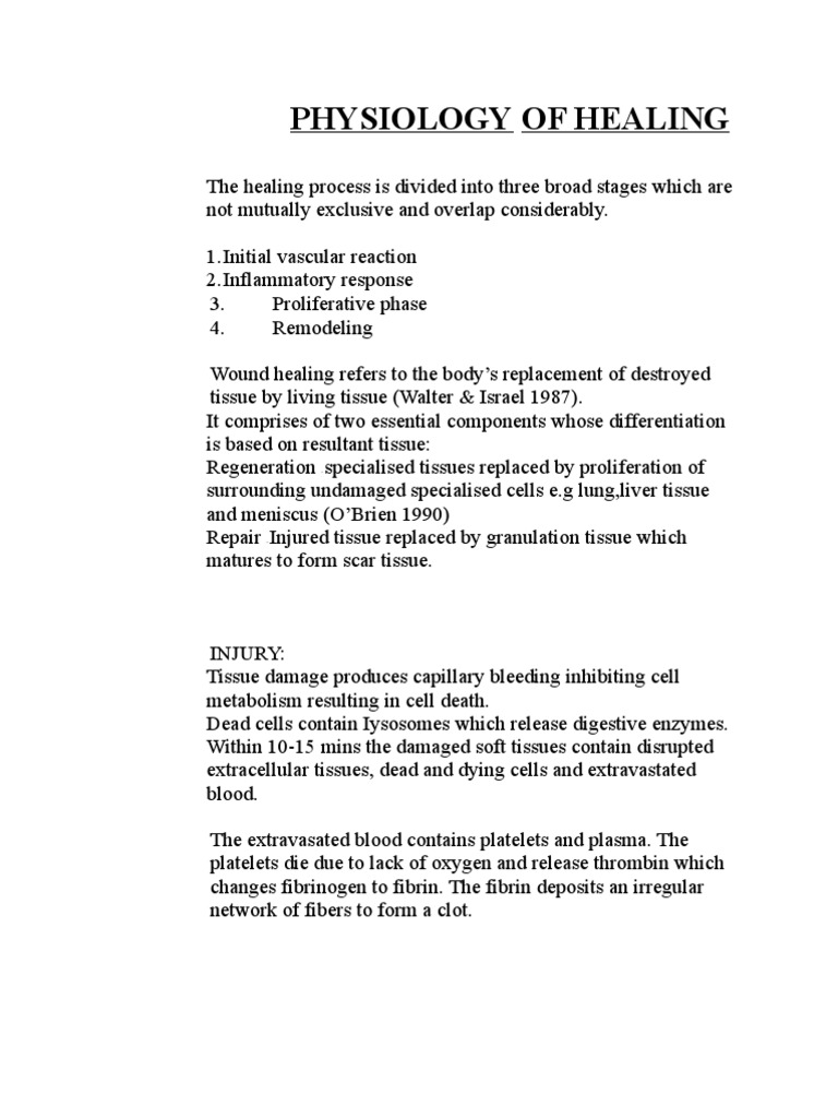 Extravastation in Wound Healing Process | PDF | Tendon | Healing