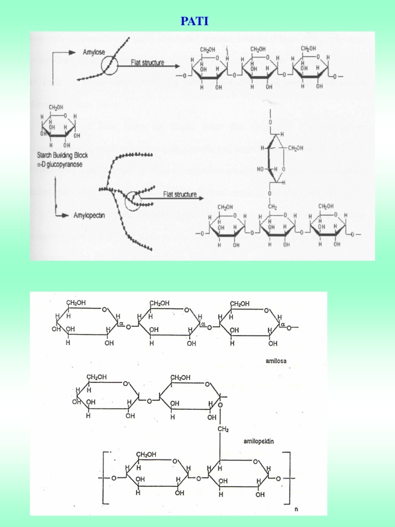 PATI | PDF