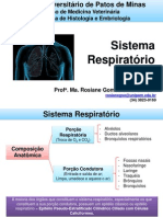 3.Sistema Respiratório