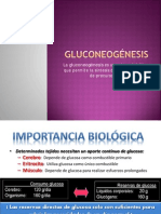 2-Gluconeogenesis