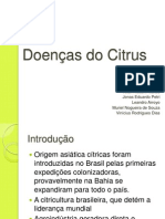 Doenças Do Citrus Seminario