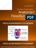 Anatomía XII