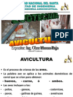 Avicultura