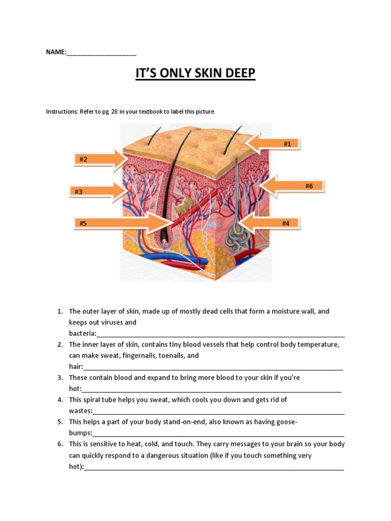 Skinlabelsheet | PDF | Wellness