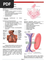 Fisiologia Respiratória