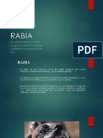 Rabia 2014