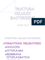  Structura Celulei Bacteriene 