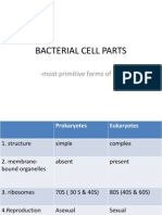 Bacterial Cell Parts: - Most Primitive Forms of Life