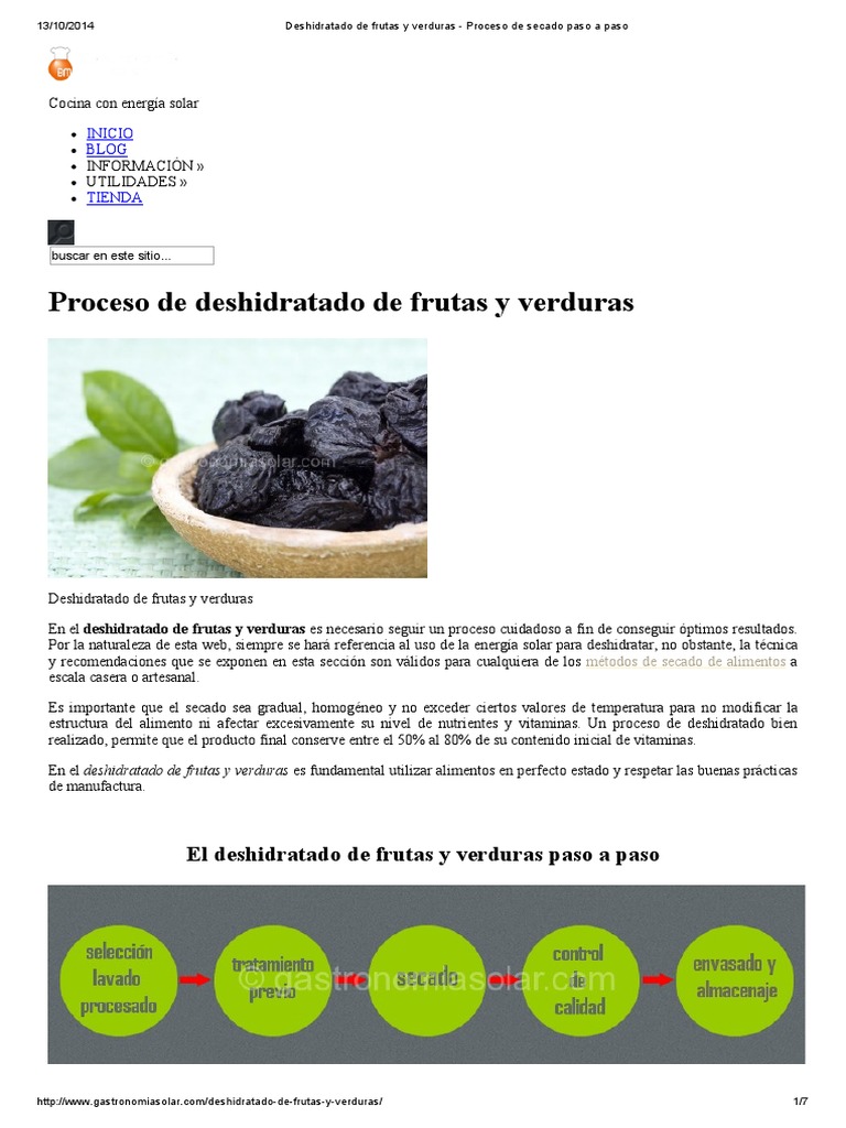 Deshidratado de Frutas y Verduras - Proceso de Secado Paso A Paso PDF ...