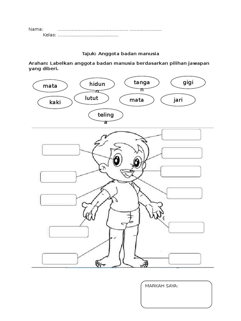 Bahan Abm Peralihan Anggota Badan Manusia Pdf